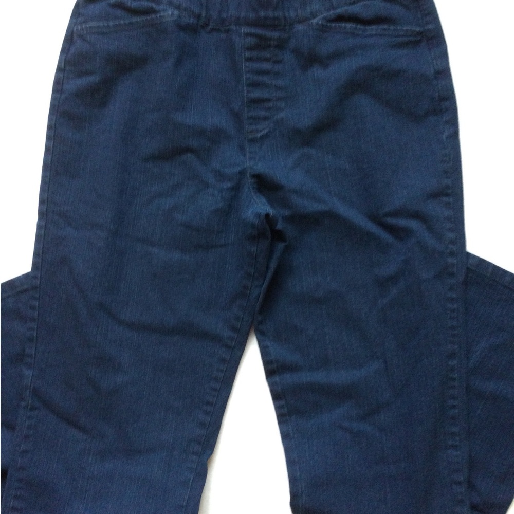 Chic Classic Collection Stretch Jeans Size 12